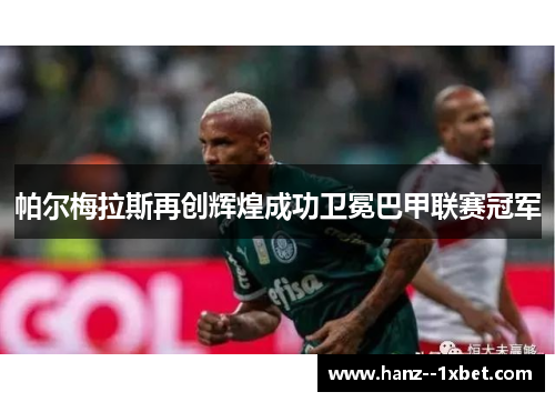 帕尔梅拉斯再创辉煌成功卫冕巴甲联赛冠军 帕尔梅拉斯再创辉煌成功卫冕巴甲联赛冠军